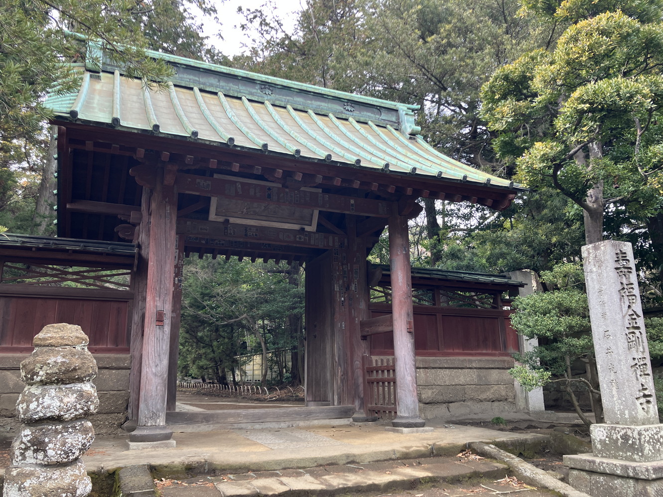 恒例の景色になってきました
